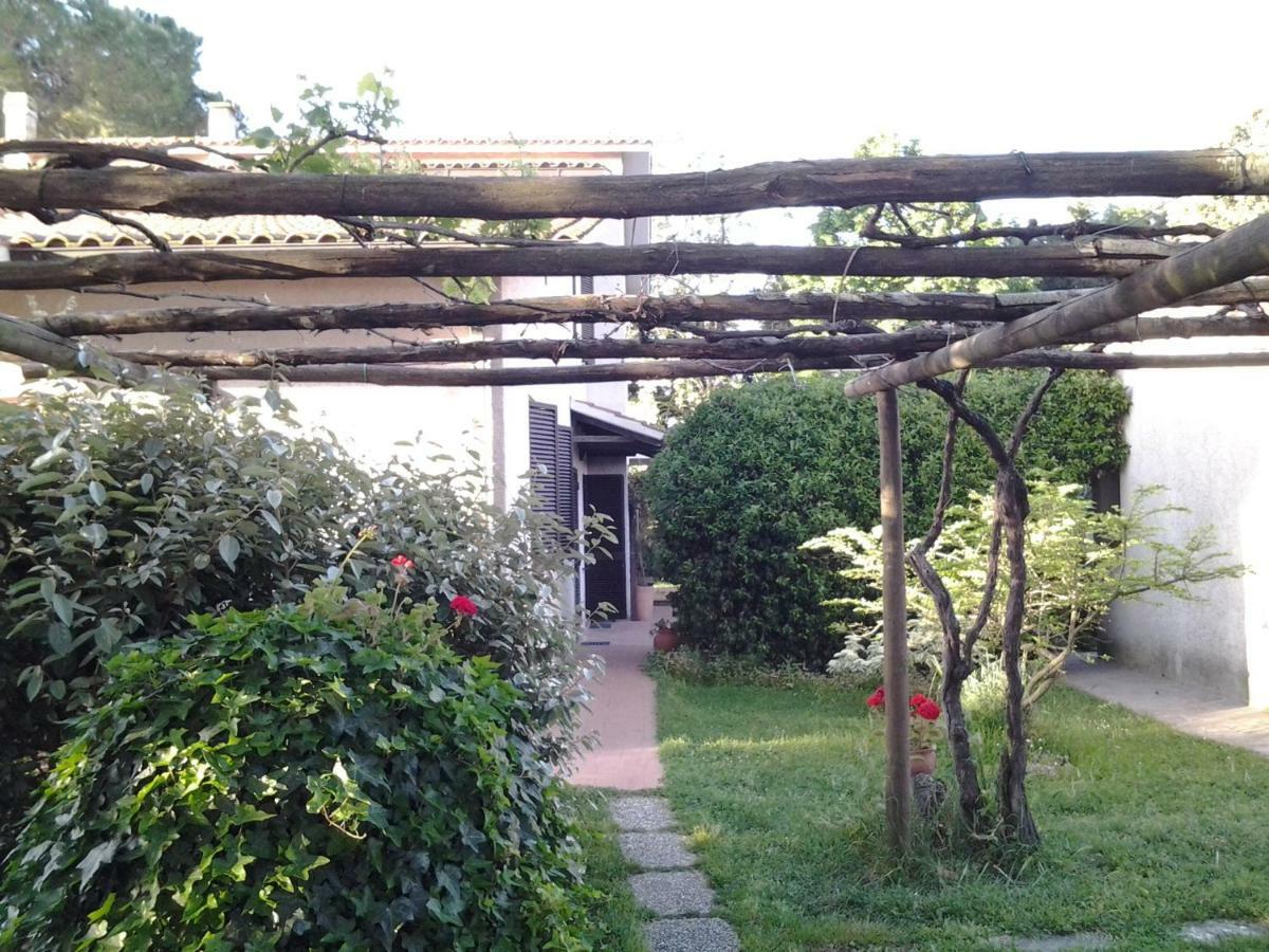 Hotel Agriturismo Piana Arborello Magliano in Toscana Exterior foto