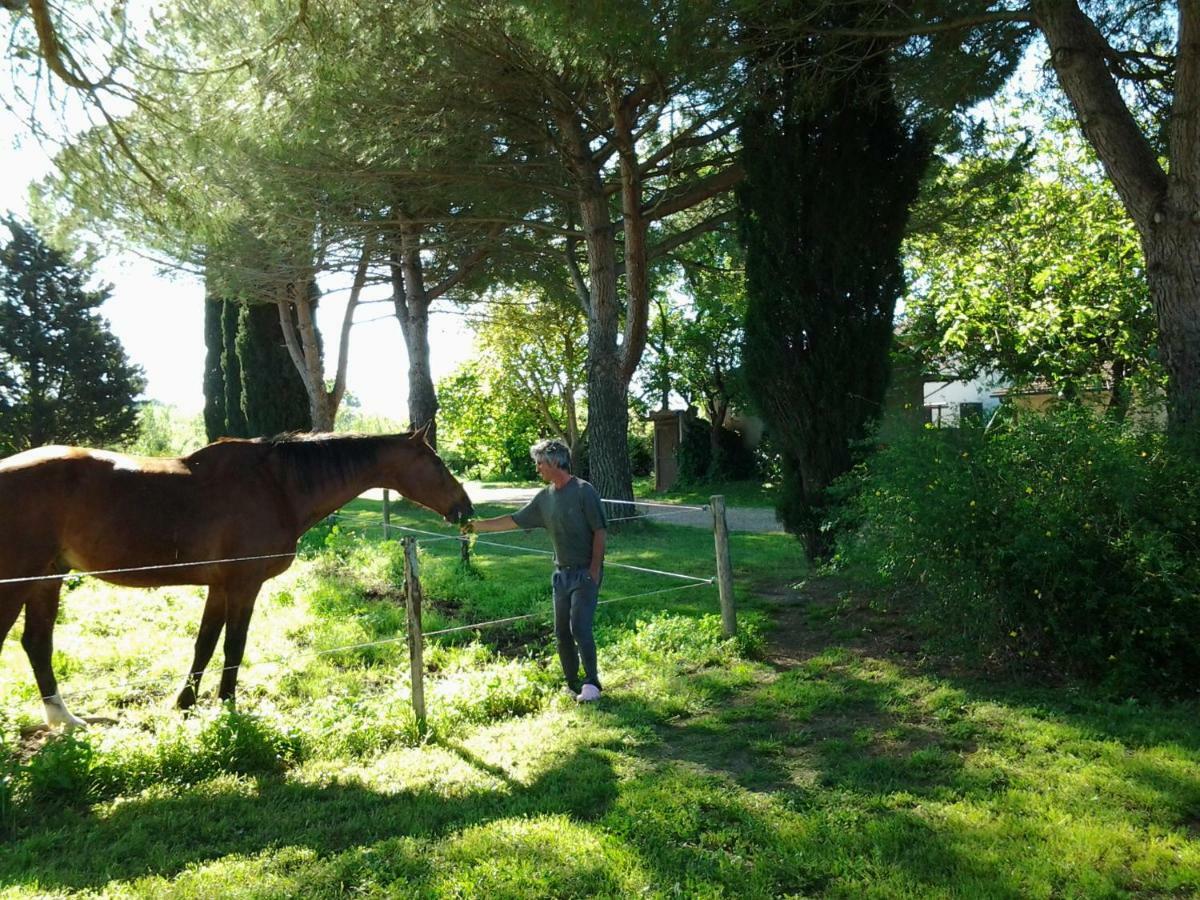 Hotel Agriturismo Piana Arborello Magliano in Toscana Exterior foto