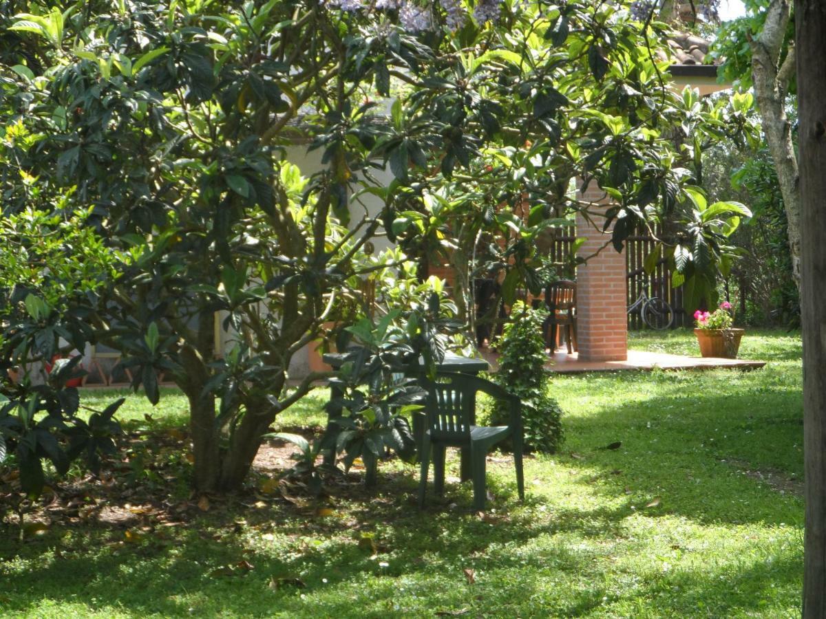 Hotel Agriturismo Piana Arborello Magliano in Toscana Exterior foto