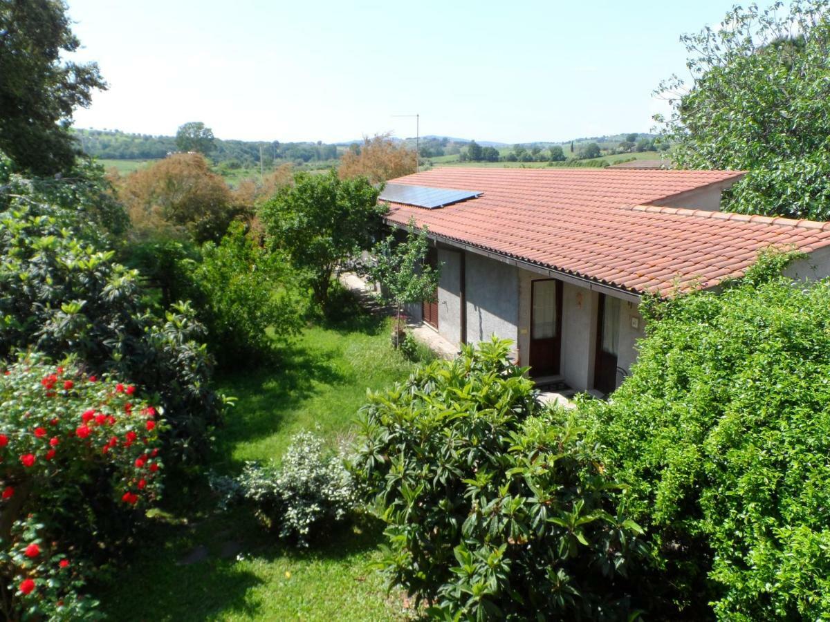 Hotel Agriturismo Piana Arborello Magliano in Toscana Exterior foto