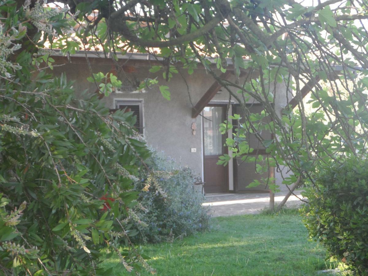 Hotel Agriturismo Piana Arborello Magliano in Toscana Exterior foto