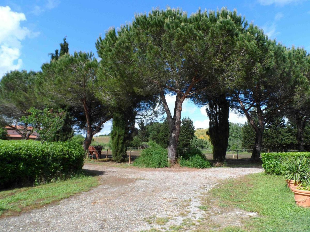 Hotel Agriturismo Piana Arborello Magliano in Toscana Exterior foto