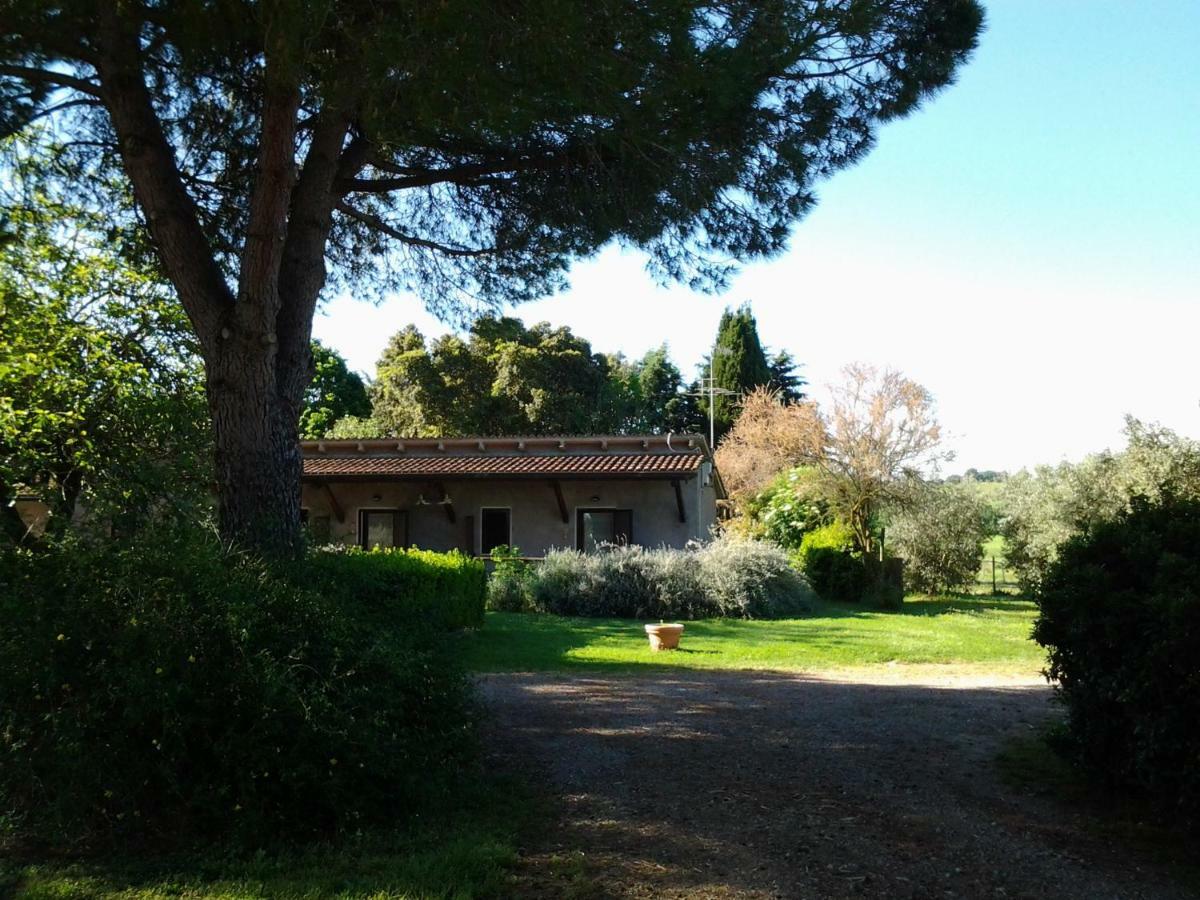 Hotel Agriturismo Piana Arborello Magliano in Toscana Exterior foto