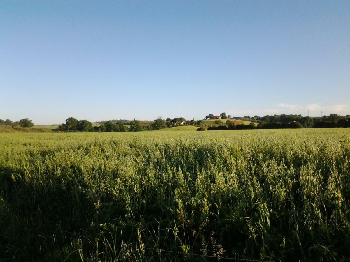 Hotel Agriturismo Piana Arborello Magliano in Toscana Exterior foto